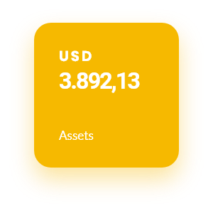 demo-attachment-506-Account